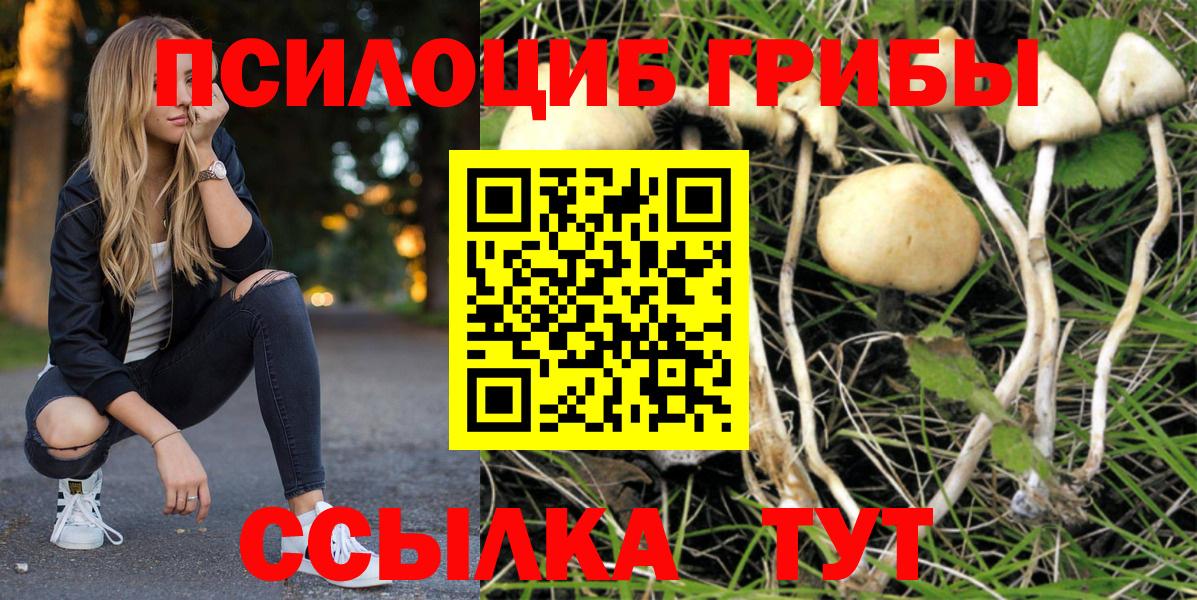 Галлюциногенные грибы мухоморы Прохладный