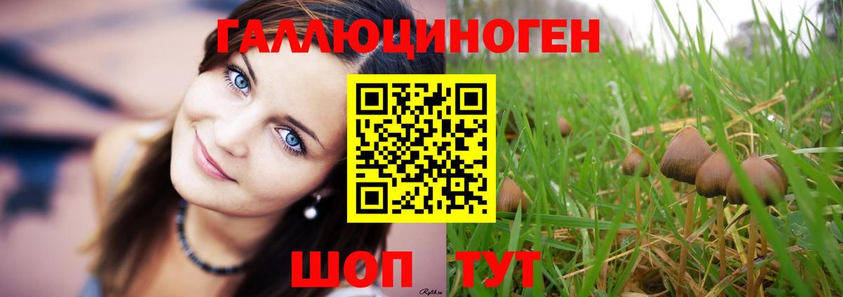 Псилоцибиновые грибы Psilocybine cubensis  Вход с VPN  Галлюциногенные грибы мицелий  Прохладный 